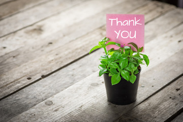 writing thank you on card and ornamental plants in pots on wooden floor.  - obrazy, fototapety, plakaty
