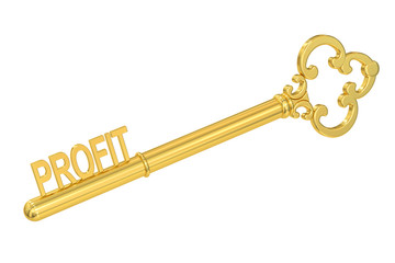 Profit concept with golden key, 3D rendering