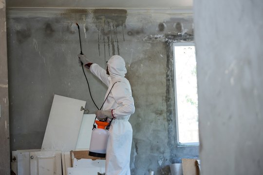 Man doing pest control on a wall