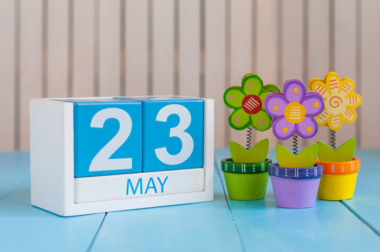 May 23rd. Image of may 23 wooden color calendar on white background with flowers. Spring day, empty space for text. World Turtle Day