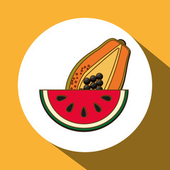 Fruits icon design, vector illustration
