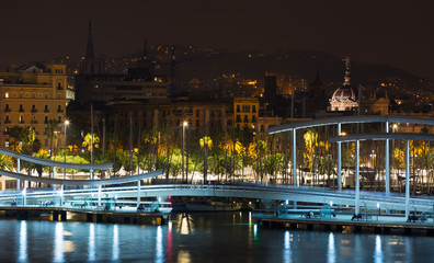 Port with bridge  in autumn night. Barcelona