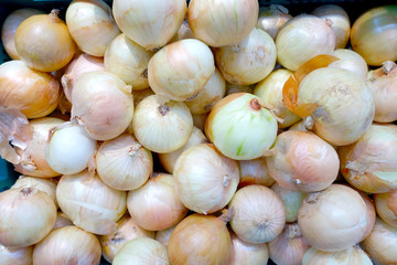 onion texture background