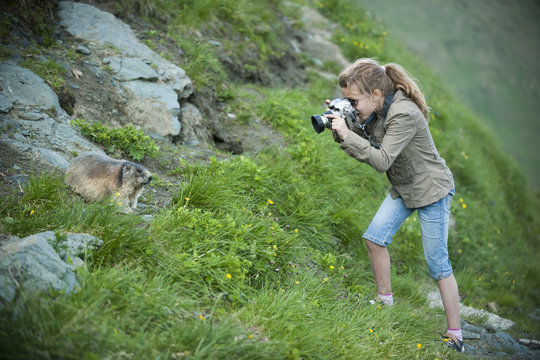 Austria, Carinthia, Kaiser-Franz-Josefs-Hoehe, girl photographing alpine marmot marmota marmota