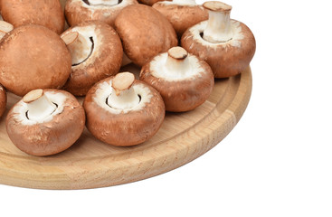 Champignon (True mushroom) on wooden board