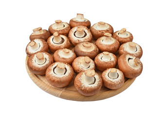 Champignon (True mushroom) on wooden board
