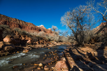 Flowing Virgin River in Zion National Park at Sunset