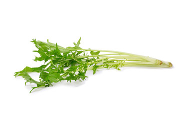 Mizuna greens on white background