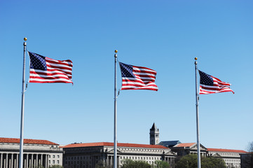 waving USA flags in Washington DC