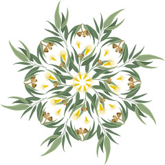 Abstract nature eucalyptus ornament