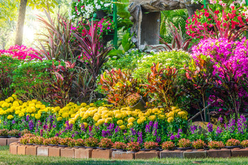 Flowers in the garden on summer. /Landscaped flower garden with lots of colorful blooms on summer.
