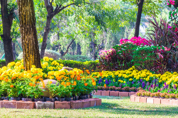 Plakat Flowers in the garden on summer. /Landscaped flower garden with lots of colorful blooms on summer. 