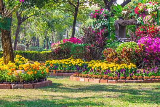 Flowers in the garden on summer. /Landscaped flower garden with lots of colorful blooms on summer.
