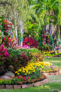 Flowers in the garden on summer. /Landscaped flower garden with lots of colorful blooms on summer.