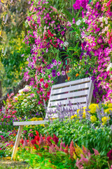 White Wood chair in the flowers garden./ White Wood chair in the flowers garden on summer.
