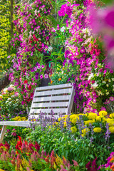 White Wood chair in the flowers garden./ White Wood chair in the flowers garden on summer.
