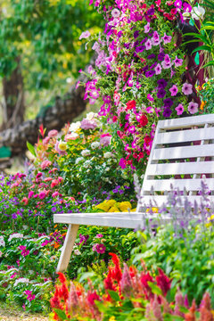 White Wood chair in the flowers garden./ White Wood chair in the flowers garden on summer.
