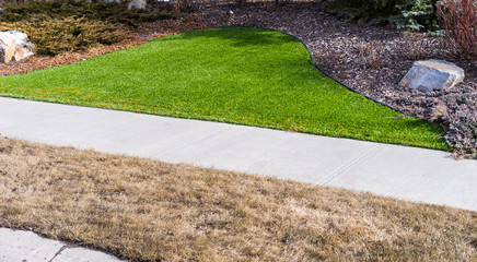 Artificial lawn vs natural