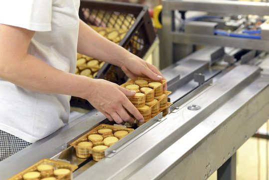 Germany, Saxony-Anhalt, woman taking pack of cookies from production line in a baking factory, partial view