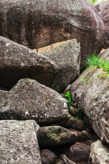 Girraween National Park during the day in Queensland, Australia