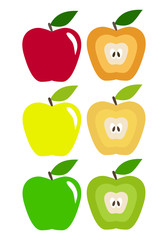 Illustration of colored apples on white background