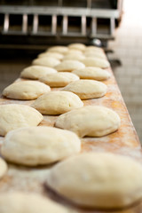 Fototapeta na wymiar Raw bread dough ready for the oven