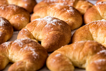 Freshly baked brioche bread rolls