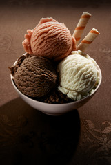 Fototapeta premium Bowl of frozen dessert on a brown background