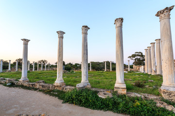 Fototapeta premium Ancient city of Salamis located in on Cyprus.