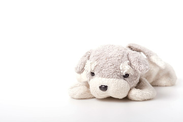Grey cute doggy doll