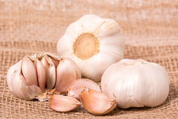 Garlic