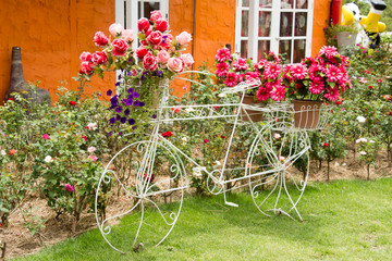 Fototapeta na wymiar Vintage bicycle decor with flower in garden