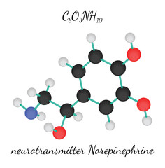 C8O3NH10 Norepinephrine molecule