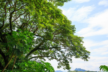 View of Vangvieng, Laos