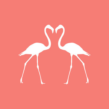 Illustration of a flamingo on a colored background