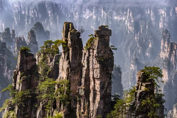 Foto op Canvas Zhangjiajie National Forest Park, Hunan, China © kikujungboy