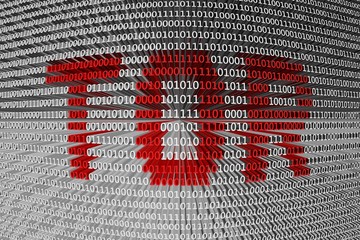 TOR in the form of binary code, 3D illustration © profit_image