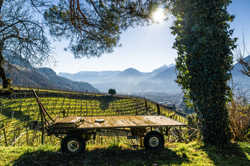 Sunny view of vineyards valley of castle Rametz near Merano.