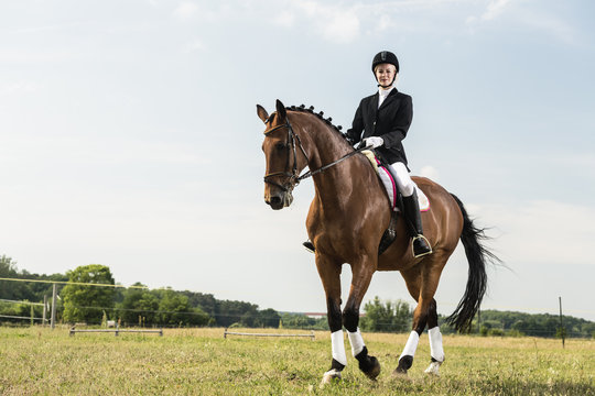 Dressage rider on horse