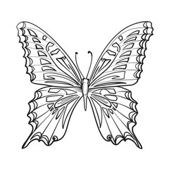 Flying butterfy card.