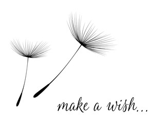 Make a wish card with dandelion fluff - 106764464