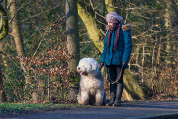 junges mädchen übt mit bobtail kommandos