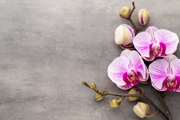 Foto op Plexiglas Spa orchid theme objects on grey background. © gitusik