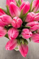 Obraz premium More tulip on the grey background.
