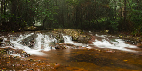Goomoolahra creek at Springbrook National Park in Queensland.