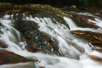 Goomoolahra creek at Springbrook National Park in Queensland.
