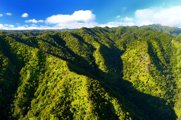 Obraz premium Stunning aerial view of spectacular jungles, Kauai