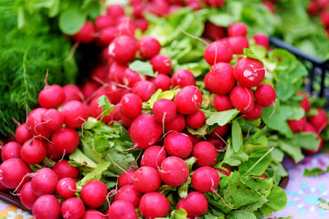 Bunches of radish sold on farmer's market