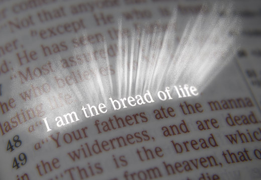 Bible text - I am the bread of life - John 6:48