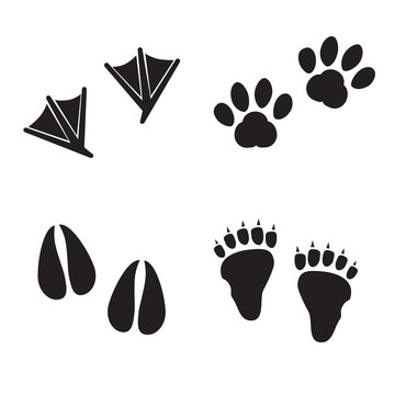 Collection of animal foot prints. Vector art.